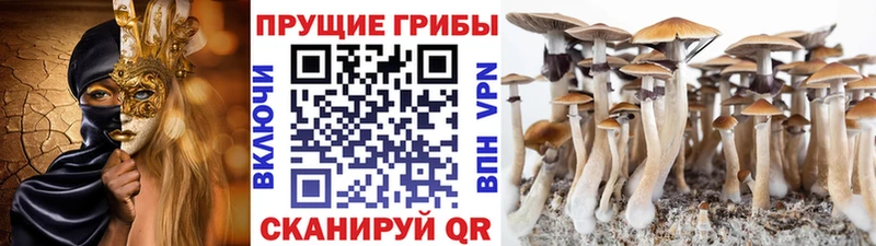 Галлюциногенные грибы GOLDEN TEACHER  Снежинск 