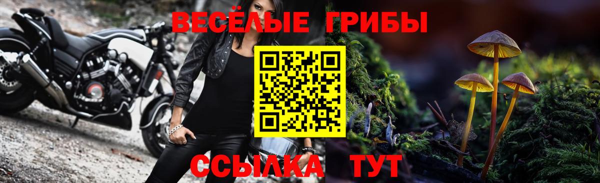 Галлюциногенные грибы прущие грибы  Вход с VPN  Снежинск 